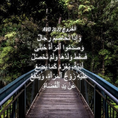 Picture 04 - اَلْخُرُوجُ 21:22 AVD - وَإِذَا تَخَاصَمَ رِجَالٌ - Bible Verse Picture