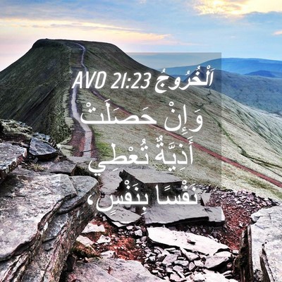 Picture 04 - اَلْخُرُوجُ 21:23 AVD - وَإِنْ حَصَلَتْ أَذِيَّةٌ - Bible Verse Picture