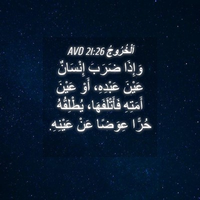 Picture 04 - اَلْخُرُوجُ 21:26 AVD - وَإِذَا ضَرَبَ إِنْسَانٌ - Bible Verse Picture