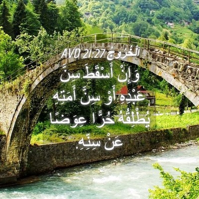 Picture 04 - اَلْخُرُوجُ 21:27 AVD - وَإِنْ أَسْقَطَ سِنَّ - Bible Verse Picture