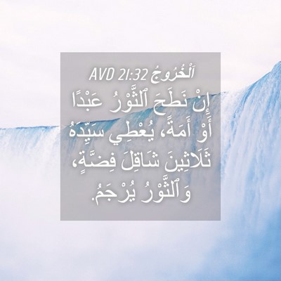Picture 04 - اَلْخُرُوجُ 21:32 AVD - إِنْ نَطَحَ ٱلثَّوْرُ - Bible Verse Picture