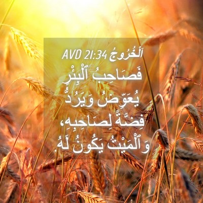 Picture 04 - اَلْخُرُوجُ 21:34 AVD - فَصَاحِبُ ٱلْبِئْرِ - Bible Verse Picture