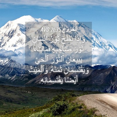 Picture 04 - اَلْخُرُوجُ 21:35 AVD - وَإِذَا نَطَحَ ثَوْرُ - Bible Verse Picture
