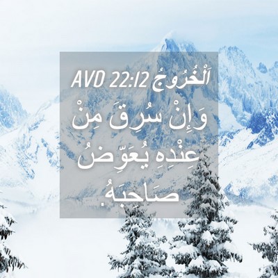 Picture 04 - اَلْخُرُوجُ 22:12 AVD - وَإِنْ سُرِقَ مِنْ - Bible Verse Picture