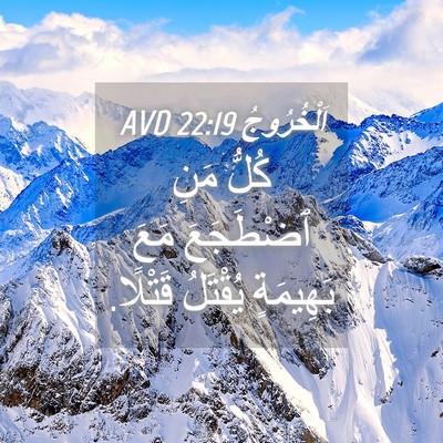 Picture 04 - اَلْخُرُوجُ 22:19 AVD - كُلُّ مَنِ ٱضْطَجَعَ مَعَ - Bible Verse Picture