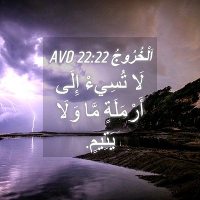 Picture 04 - اَلْخُرُوجُ 22:22 AVD - لَا تُسِيءْ إِلَى - Bible Verse Picture