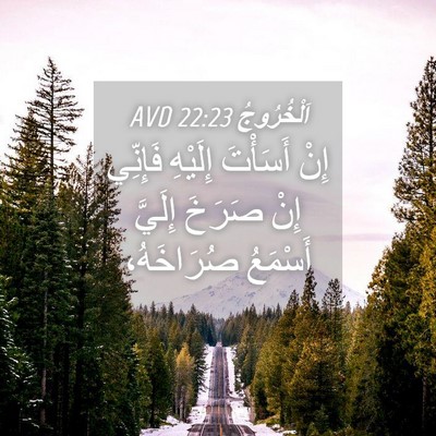 Picture 04 - اَلْخُرُوجُ 22:23 AVD - إِنْ أَسَأْتَ إِلَيْهِ - Bible Verse Picture