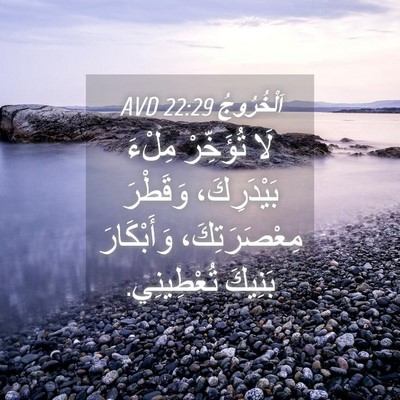 Picture 04 - اَلْخُرُوجُ 22:29 AVD - لَا تُؤَخِّرْ مِلْءَ - Bible Verse Picture