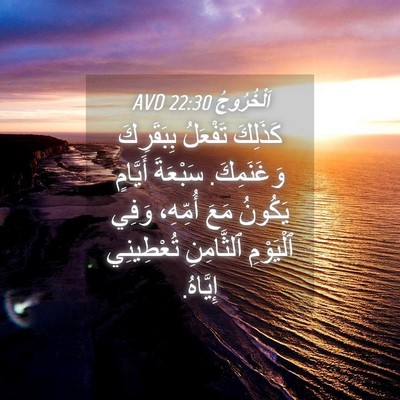 Picture 04 - اَلْخُرُوجُ 22:30 AVD - كَذَلِكَ تَفْعَلُ - Bible Verse Picture
