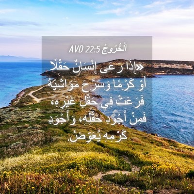 Picture 04 - اَلْخُرُوجُ 22:5 AVD - «إِذَا رَعَى إِنْسَانٌ - Bible Verse Picture