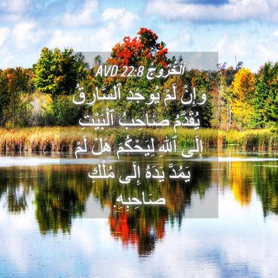 Picture 04 - اَلْخُرُوجُ 22:8 AVD - وَإِنْ لَمْ يُوجَدِ - Bible Verse Picture