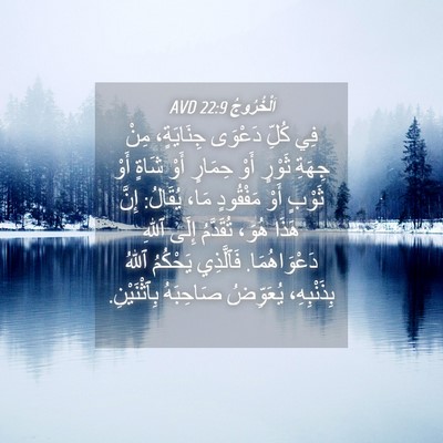 Picture 04 - اَلْخُرُوجُ 22:9 AVD - فِي كُلِّ دَعْوَى - Bible Verse Picture