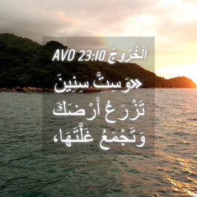 Picture 04 - اَلْخُرُوجُ 23:10 AVD - «وَسِتَّ سِنِينَ تَزْرَعُ - Bible Verse Picture