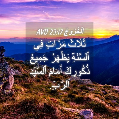 Picture 04 - اَلْخُرُوجُ 23:17 AVD - ثَلَاثَ مَرَّاتٍ فِي - Bible Verse Picture