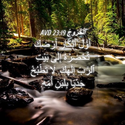 Picture 04 - اَلْخُرُوجُ 23:19 AVD - أَوَّلَ أَبْكَارِ - Bible Verse Picture