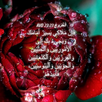Picture 04 - اَلْخُرُوجُ 23:23 AVD - فَإِنَّ مَلَاكِي يَسِيرُ - Bible Verse Picture