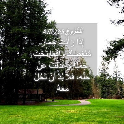 Picture 04 - اَلْخُرُوجُ 23:5 AVD - إِذَا رَأَيْتَ حِمَارَ - Bible Verse Picture