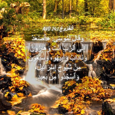Picture 04 - اَلْخُرُوجُ 24:1 AVD - وَقَالَ لِمُوسَى: «ٱصْعَدْ - Bible Verse Picture