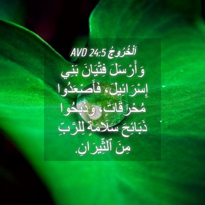 Picture 04 - اَلْخُرُوجُ 24:5 AVD - وَأَرْسَلَ فِتْيَانَ - Bible Verse Picture