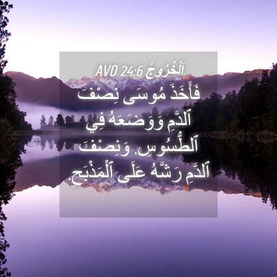 Picture 04 - اَلْخُرُوجُ 24:6 AVD - فَأَخَذَ مُوسَى نِصْفَ - Bible Verse Picture