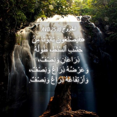 Picture 04 - اَلْخُرُوجُ 25:10 AVD - «فَيَصْنَعُونَ تَابُوتًا - Bible Verse Picture