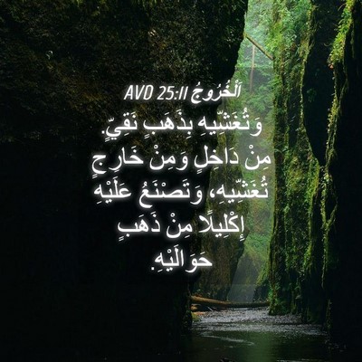 Picture 04 - اَلْخُرُوجُ 25:11 AVD - وَتُغَشِّيهِ بِذَهَبٍ - Bible Verse Picture