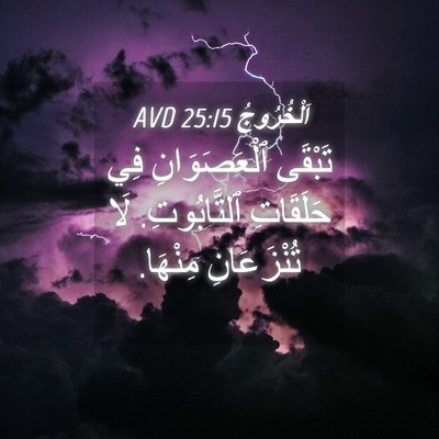 Picture 04 - اَلْخُرُوجُ 25:15 AVD - تَبْقَى ٱلْعَصَوَانِ فِي - Bible Verse Picture