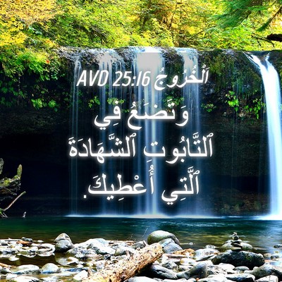 Picture 04 - اَلْخُرُوجُ 25:16 AVD - وَتَضَعُ فِي ٱلتَّابُوتِ - Bible Verse Picture