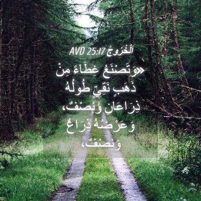 Picture 04 - اَلْخُرُوجُ 25:17 AVD - «وَتَصْنَعُ غِطَاءً مِنْ - Bible Verse Picture