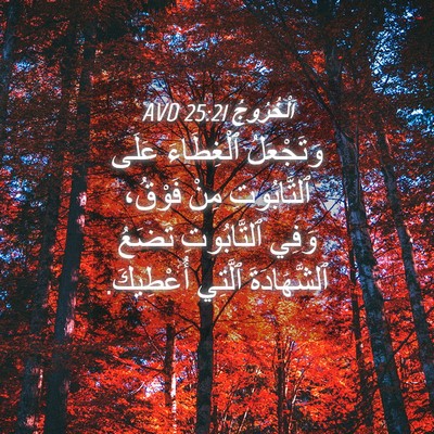 Picture 04 - اَلْخُرُوجُ 25:21 AVD - وَتَجْعَلُ ٱلْغِطَاءَ - Bible Verse Picture