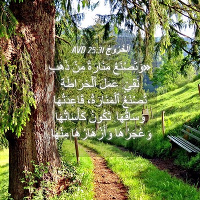Picture 04 - اَلْخُرُوجُ 25:31 AVD - «وَتَصْنَعُ مَنَارَةً - Bible Verse Picture