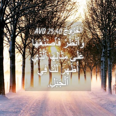 Picture 04 - اَلْخُرُوجُ 25:40 AVD - وَٱنْظُرْ فَٱصْنَعْهَا - Bible Verse Picture