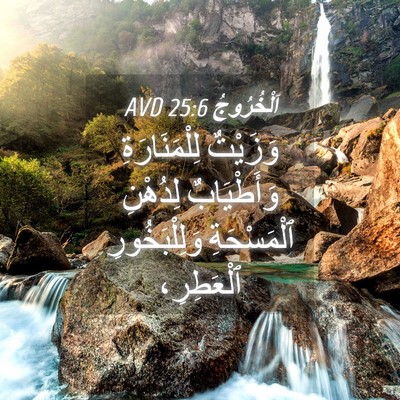 Picture 04 - اَلْخُرُوجُ 25:6 AVD - وَزَيْتٌ لِلْمَنَارَةِ - Bible Verse Picture