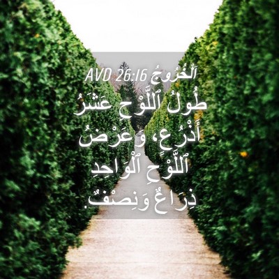 Picture 04 - اَلْخُرُوجُ 26:16 AVD - طُولُ ٱللَّوْحِ عَشَرُ - Bible Verse Picture