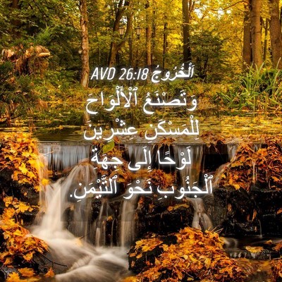 Picture 04 - اَلْخُرُوجُ 26:18 AVD - وَتَصْنَعُ ٱلْأَلْوَاحَ - Bible Verse Picture