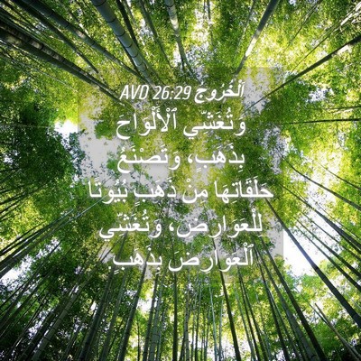 Picture 04 - اَلْخُرُوجُ 26:29 AVD - وَتُغَشِّي ٱلْأَلْوَاحَ - Bible Verse Picture