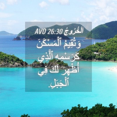 Picture 04 - اَلْخُرُوجُ 26:30 AVD - وَتُقِيمُ ٱلْمَسْكَنَ - Bible Verse Picture