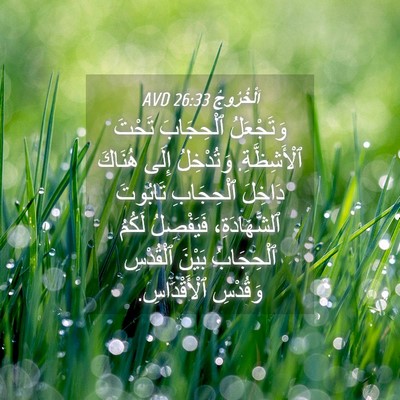 Picture 04 - اَلْخُرُوجُ 26:33 AVD - وَتَجْعَلُ ٱلْحِجَابَ - Bible Verse Picture