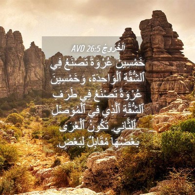 Picture 04 - اَلْخُرُوجُ 26:5 AVD - خَمْسِينَ عُرْوَةً - Bible Verse Picture