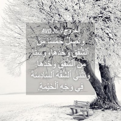 Picture 04 - اَلْخُرُوجُ 26:9 AVD - وَتَصِلُ خَمْسًا مِنَ - Bible Verse Picture
