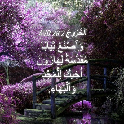 Picture 04 - اَلْخُرُوجُ 28:2 AVD - وَٱصْنَعْ ثِيَابًا - Bible Verse Picture