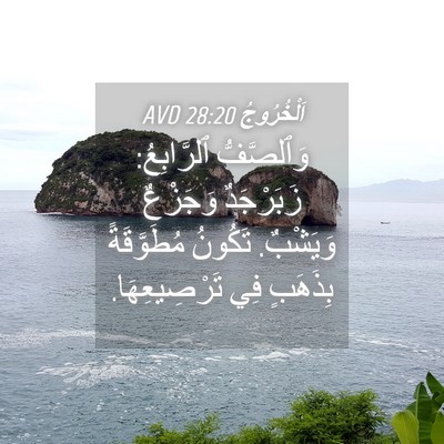 Picture 04 - اَلْخُرُوجُ 28:20 AVD - وَٱلصَّفُّ ٱلرَّابِعُ: - Bible Verse Picture