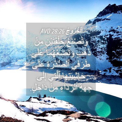 Picture 04 - اَلْخُرُوجُ 28:26 AVD - وَتَصْنَعُ حَلْقَتَيْنِ - Bible Verse Picture