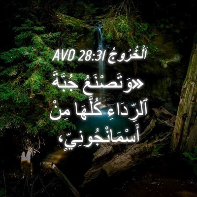 Picture 04 - اَلْخُرُوجُ 28:31 AVD - «وَتَصْنَعُ جُبَّةَ - Bible Verse Picture