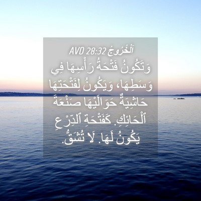 Picture 04 - اَلْخُرُوجُ 28:32 AVD - وَتَكُونُ فَتْحَةُ - Bible Verse Picture