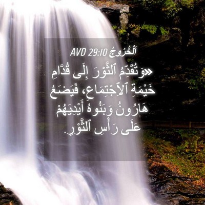 Picture 04 - اَلْخُرُوجُ 29:10 AVD - «وَتُقَدِّمُ ٱلثَّوْرَ - Bible Verse Picture