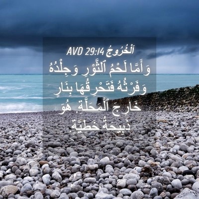 Picture 04 - اَلْخُرُوجُ 29:14 AVD - وَأَمَّا لَحْمُ ٱلثَّوْرِ - Bible Verse Picture