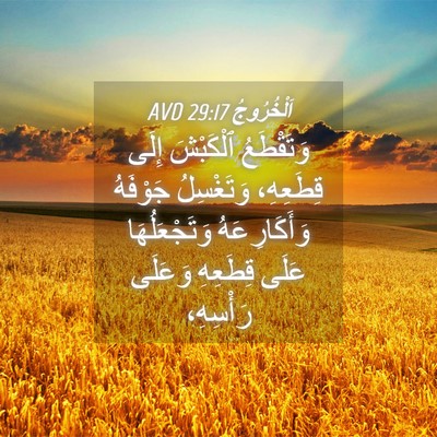 Picture 04 - اَلْخُرُوجُ 29:17 AVD - وَتَقْطَعُ ٱلْكَبْشَ - Bible Verse Picture