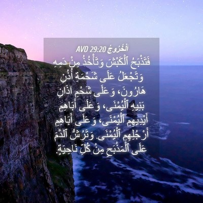 Picture 04 - اَلْخُرُوجُ 29:20 AVD - فَتَذْبَحُ ٱلْكَبْشَ - Bible Verse Picture