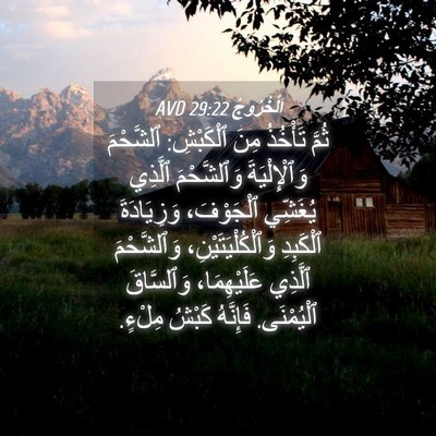 Picture 04 - اَلْخُرُوجُ 29:22 AVD - ثُمَّ تَأْخُذُ مِنَ - Bible Verse Picture